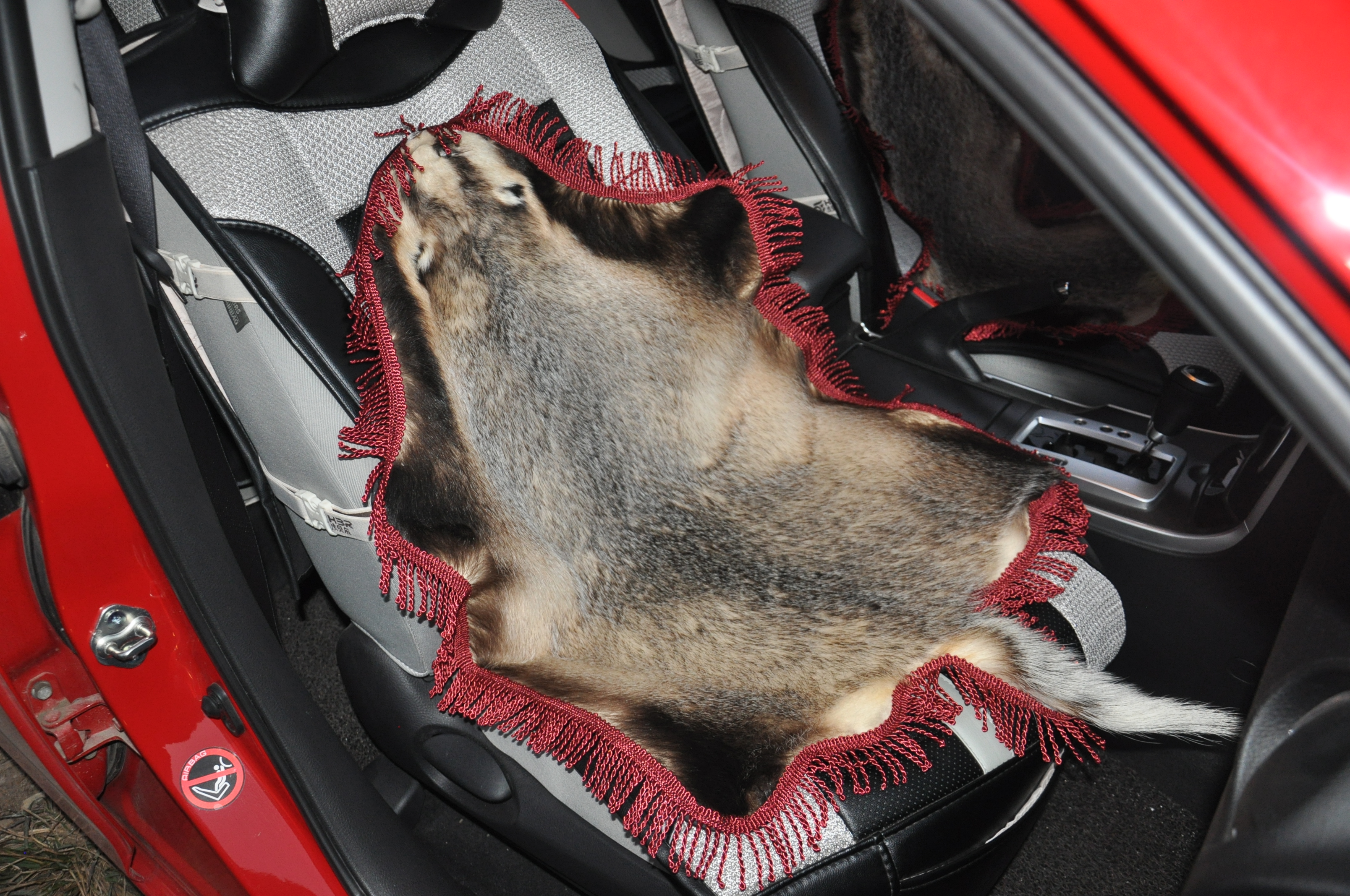 狗獾皮冬季獾子皮汽车坐垫欢子皮