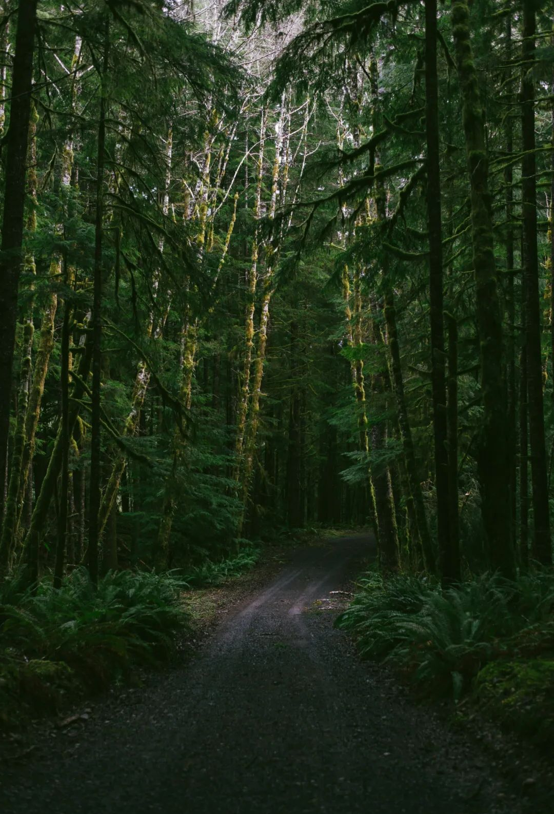 国产主播在线播放第一页正式上线引发关注，众多网友热议纷纷点赞支持，平台方表示将持续优化服务体验，行业分析师预测将迎来新的发展机遇
