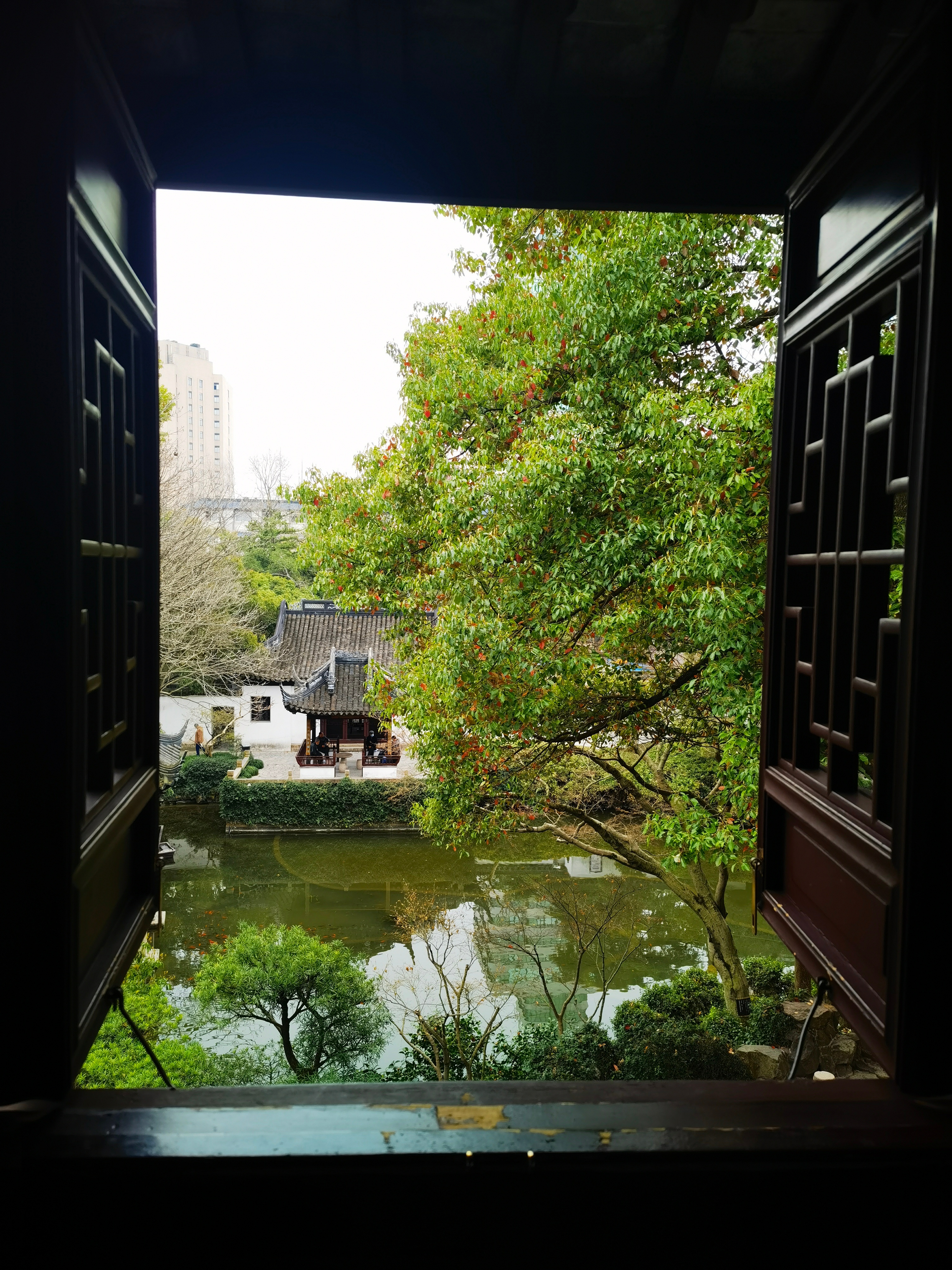 曲水园春景,小巧精致,步步取景 上海·青浦曲水园
