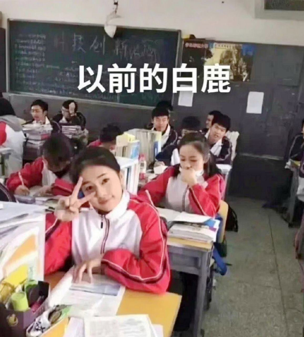 中学白鹿,虽然胖了点,但还是很漂亮