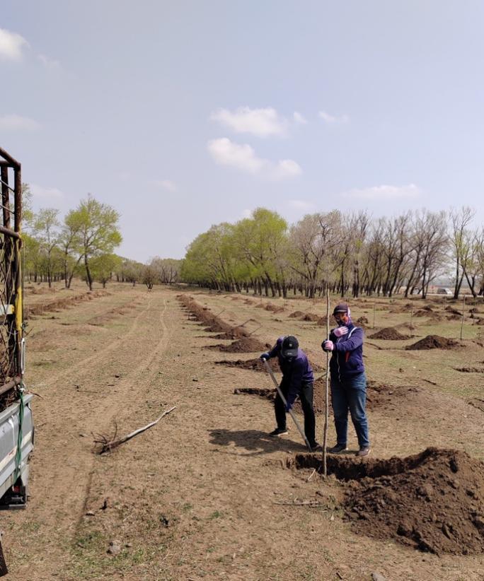 帮帮公益邀您一起加入,3060碳中和森林认养计划!