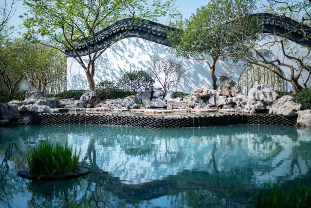 荷塘月色|庭院,给孩子一个亲近自然的童年礼物