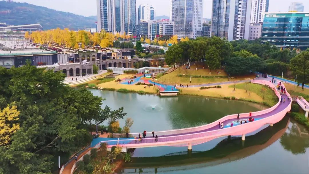 在两江数字经济产业园的旁边 隐于闹市的 百林公园"悄然变身" 公园