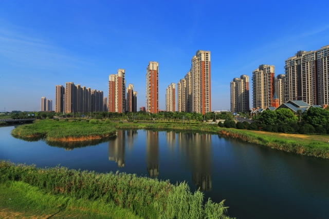 岸绿水清,河畅景美!白杨街道获评"五水共治"省级考核优秀