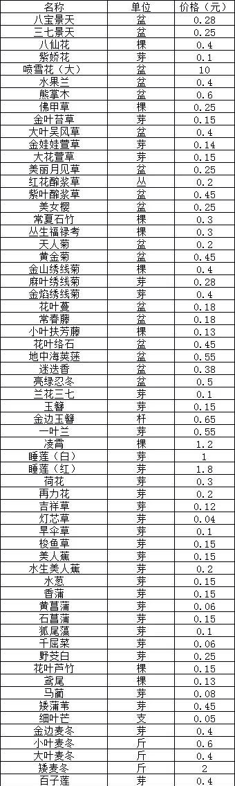 苗木行情:近期草花水生植物行情一览