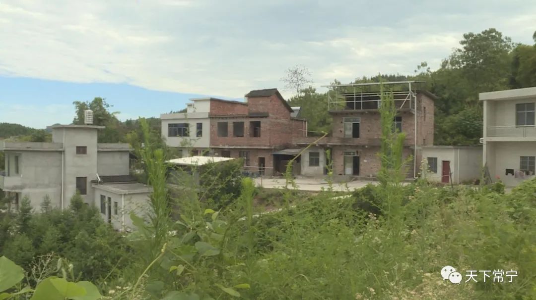 蓬塘乡大市坪村:修好通组路 打开致富门