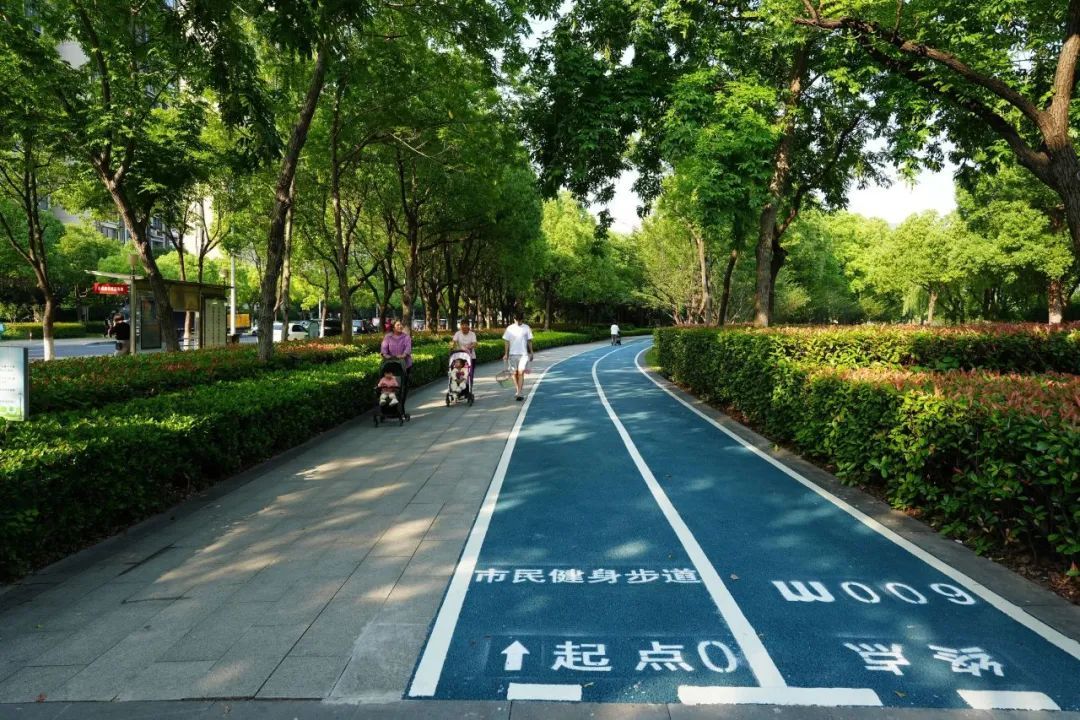 新步道上线!吹湖风,踩步道,乐享夏日惬意生活