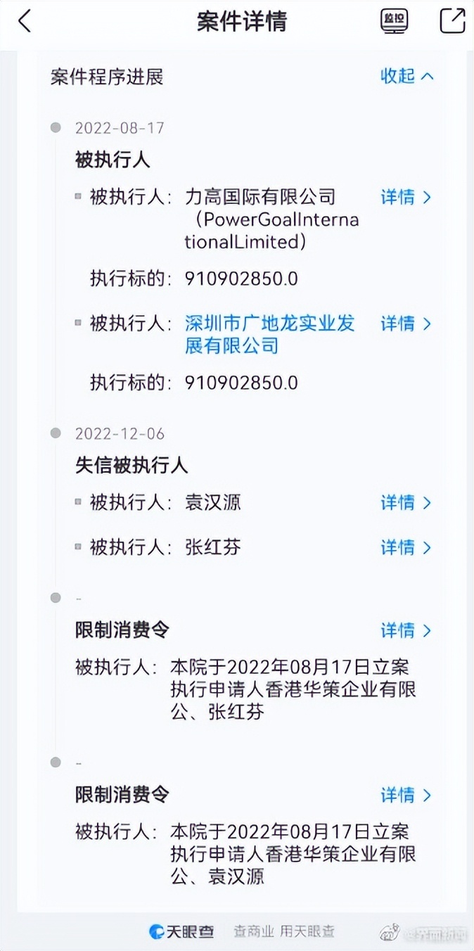 前云南首富袁汉源被强制执行超9亿元