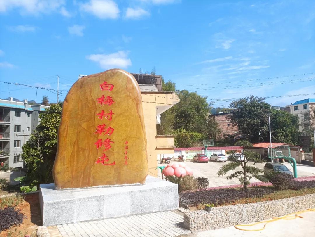 白梅村勒修屯乡村振兴示范点竣工验收 奋力描绘乡村振兴新画卷