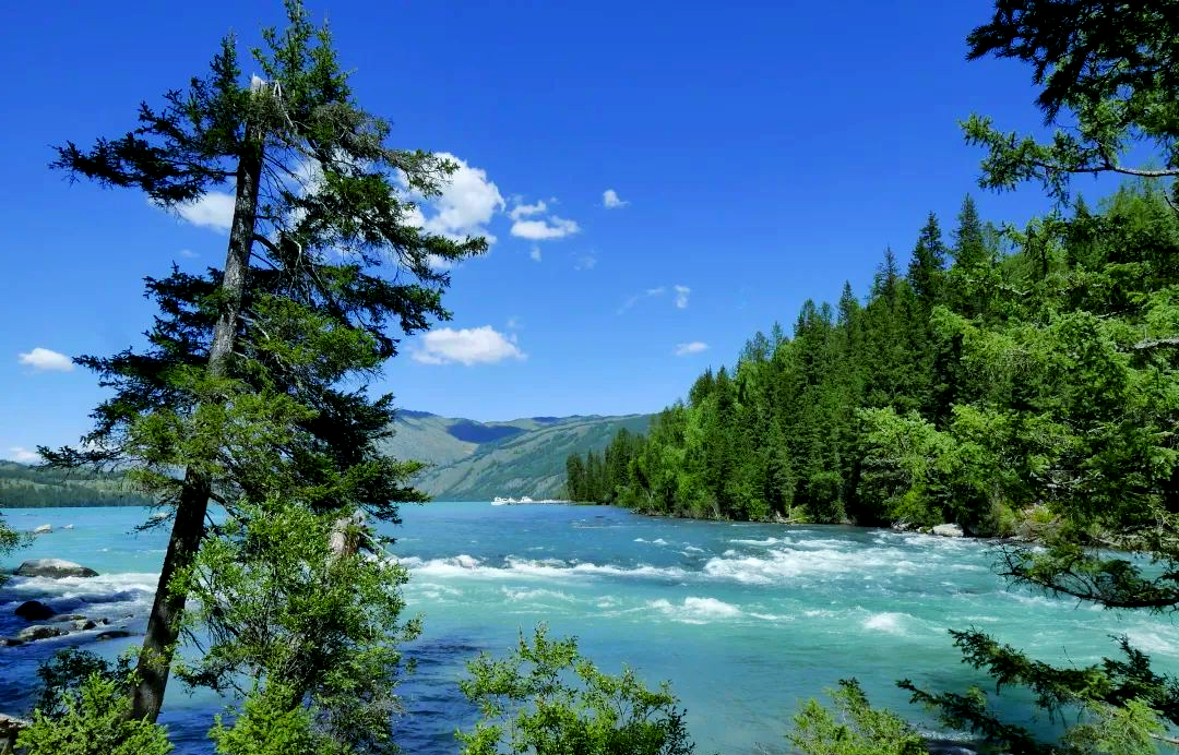 探秘新疆喀纳斯湖:感受自然之魅力与神秘