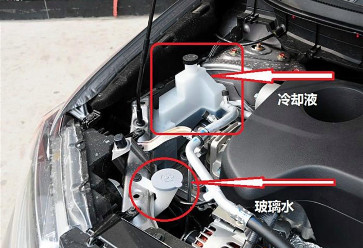 本田飞度防冻液位置