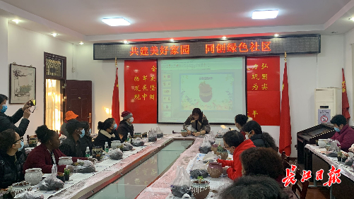 华中师大打造国际化社区,外国留学生感受中国特色多肉种植