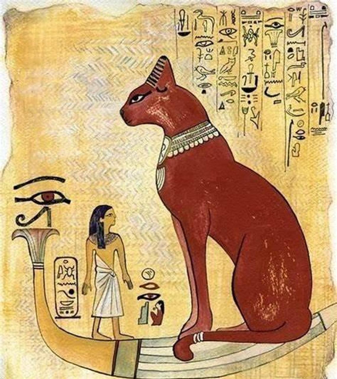 古埃及动物崇拜图片