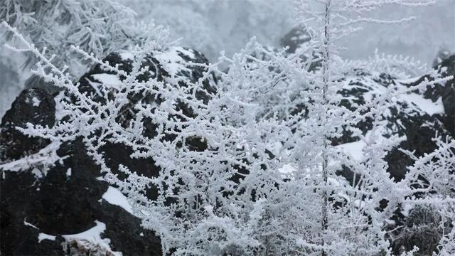 彩云之南·文山之美 | 丘北：三天“两季”五彩“四方”