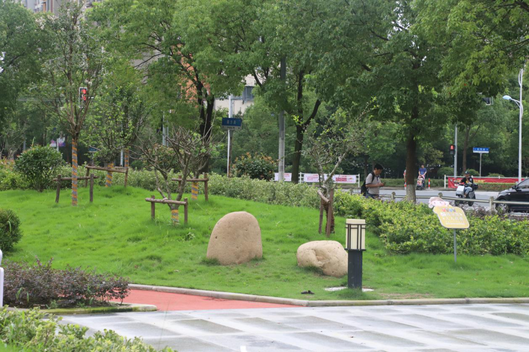 2个月,闲置空地变身口袋公园!