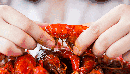 ��������С��Ϻ������ ע���⼸����Ⱥ��ʳ