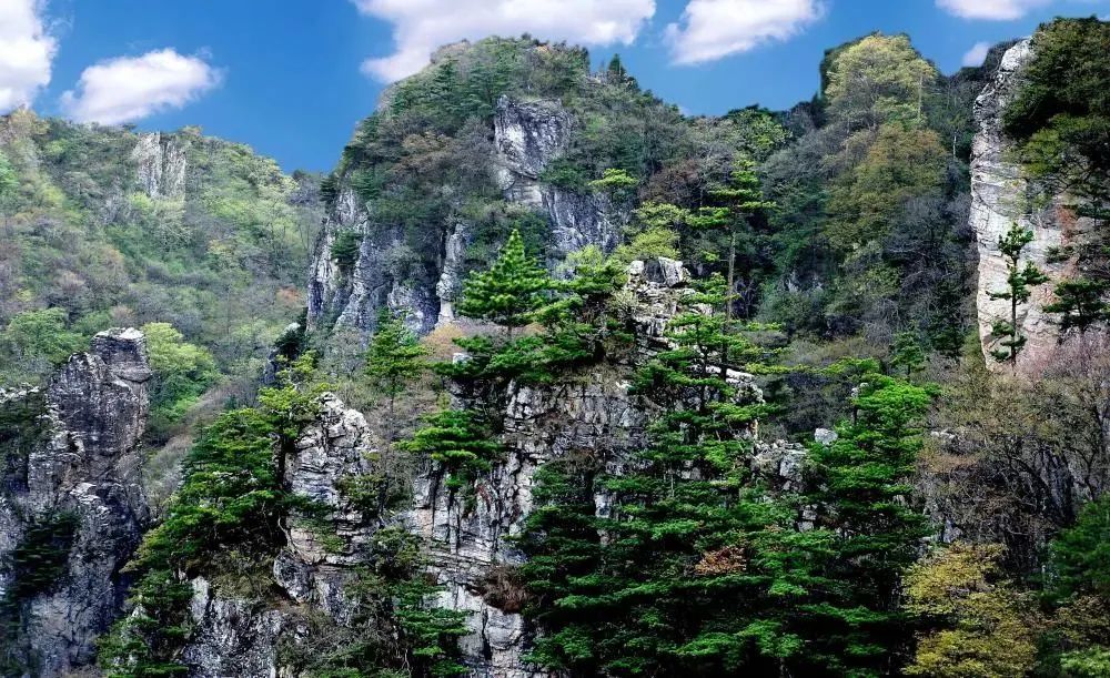 西商文旅融合发展推介会暨"大美秦岭·西商文旅双城卡