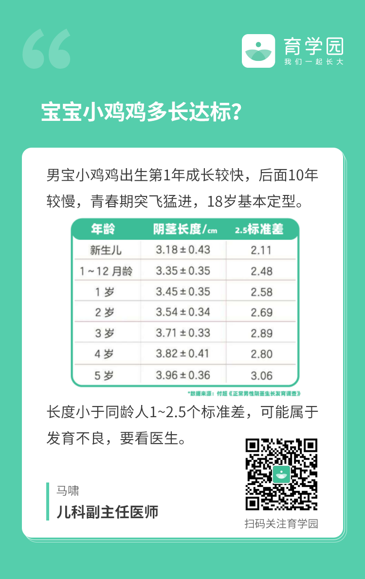 小鸡鸡长度也有国际标准!低于这个数,赶紧看医生