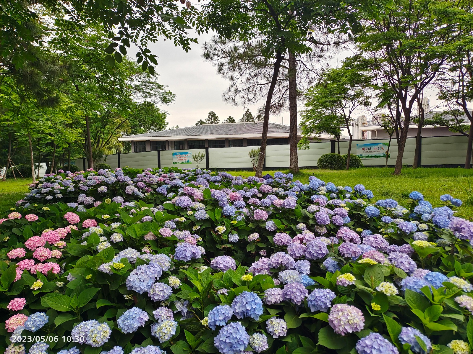 汤湖公园图片