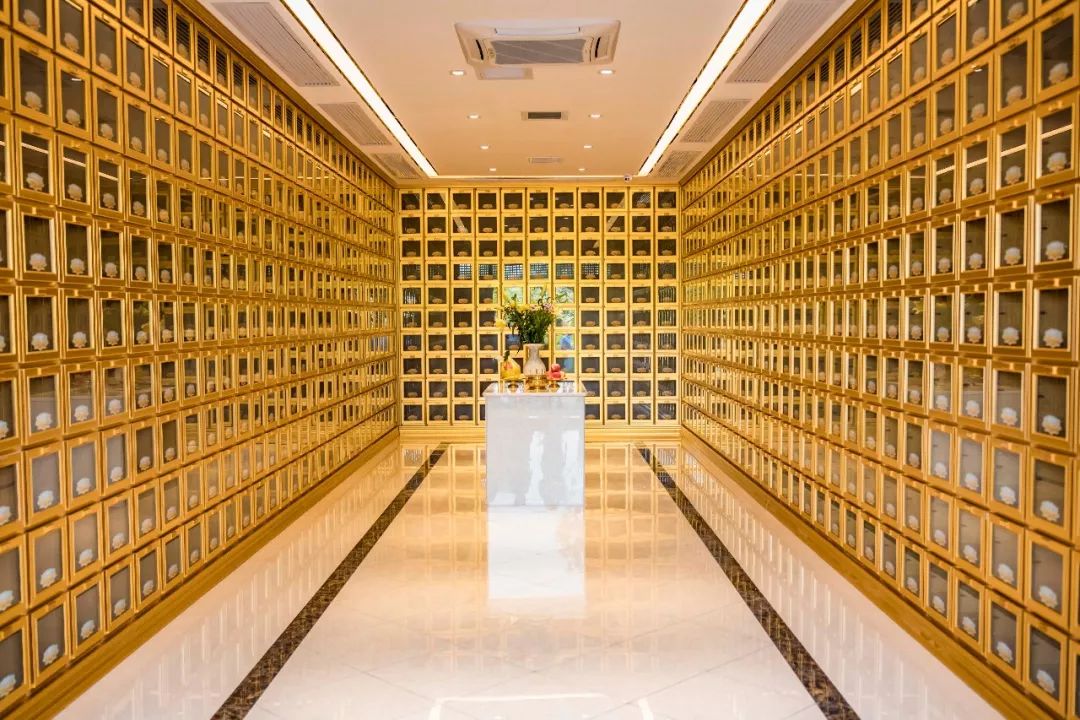 从科学角度来说,骨灰是什么?多年后又会变成什么?