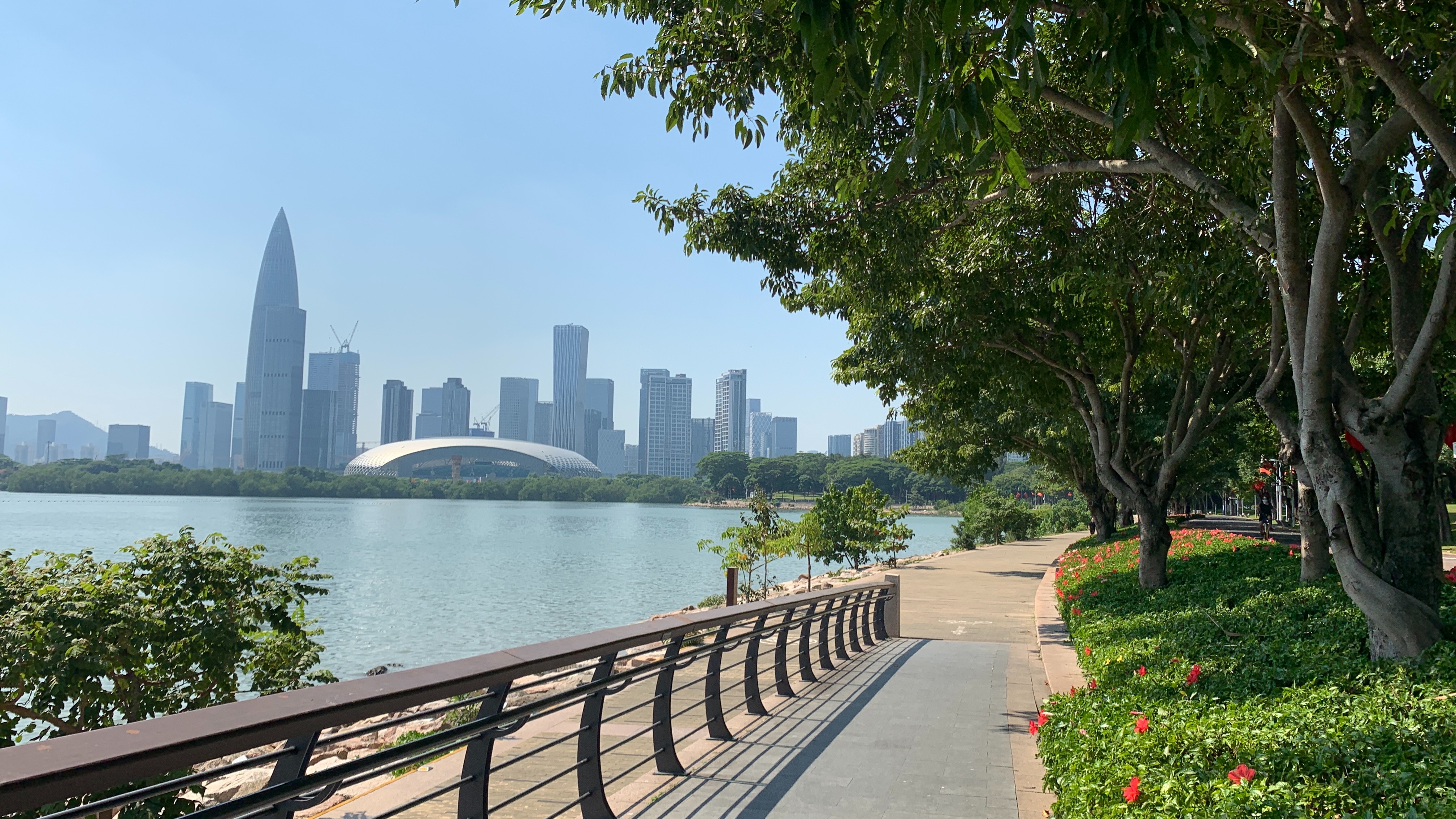 深圳湾公园到处都是美丽风景,你们觉得漂亮吗?