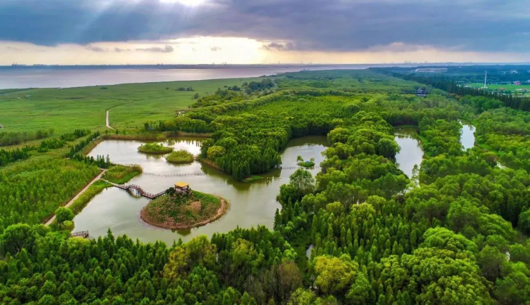西沙国家湿地公园图片