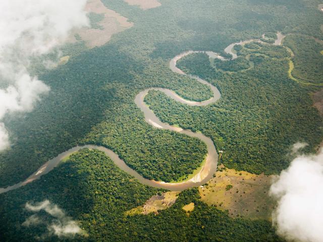 非洲刚果热带雨林图片