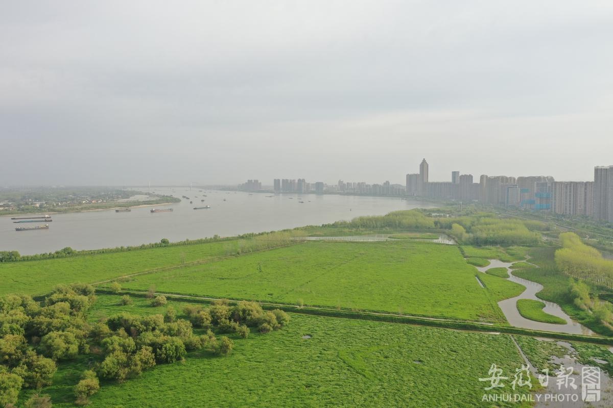 芜湖十里江湾公园介绍图片