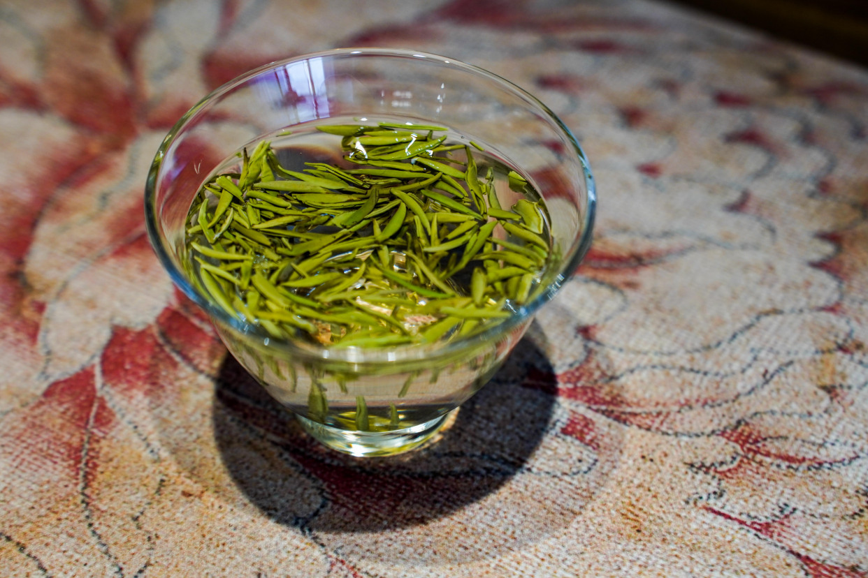 陕西名茶——汉中仙毫