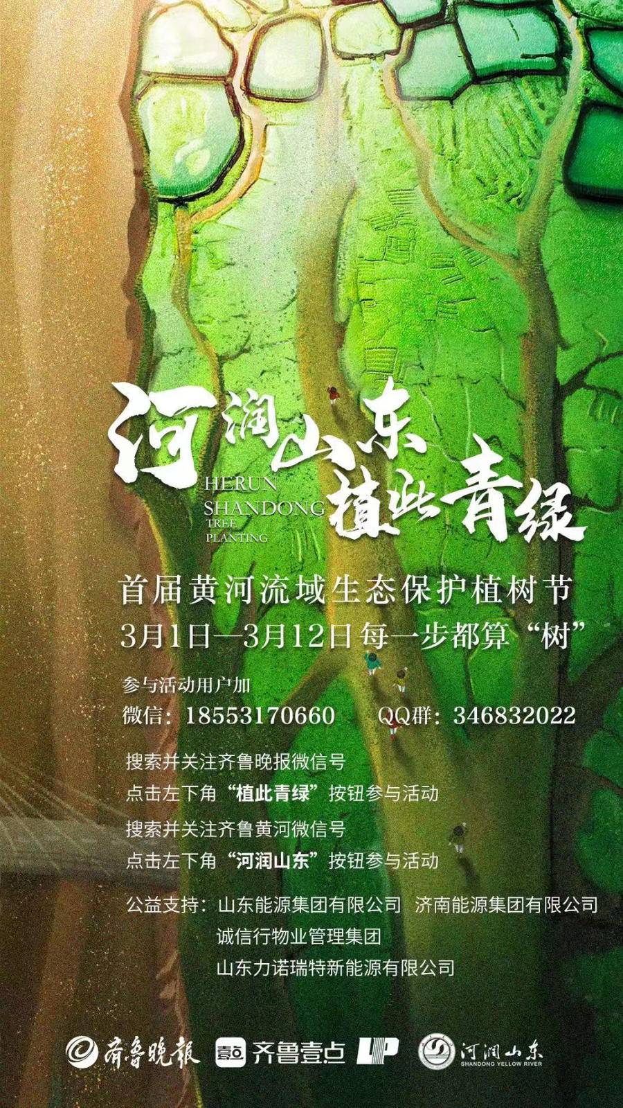 "河润山东 植此青绿"黄河流域生态保护植树节将在黄河大堤举行