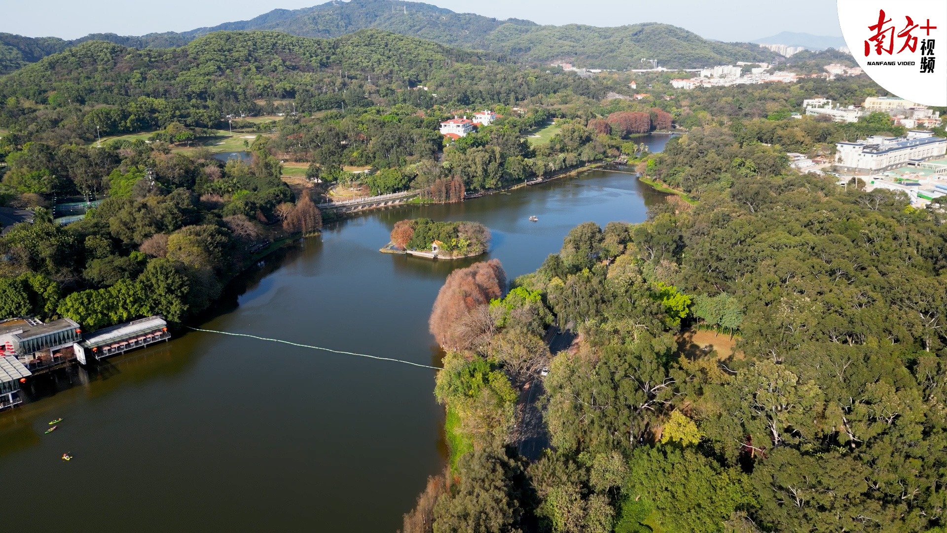 大年初三天气放晴,广州麓湖公园游人如织丨南方 视频