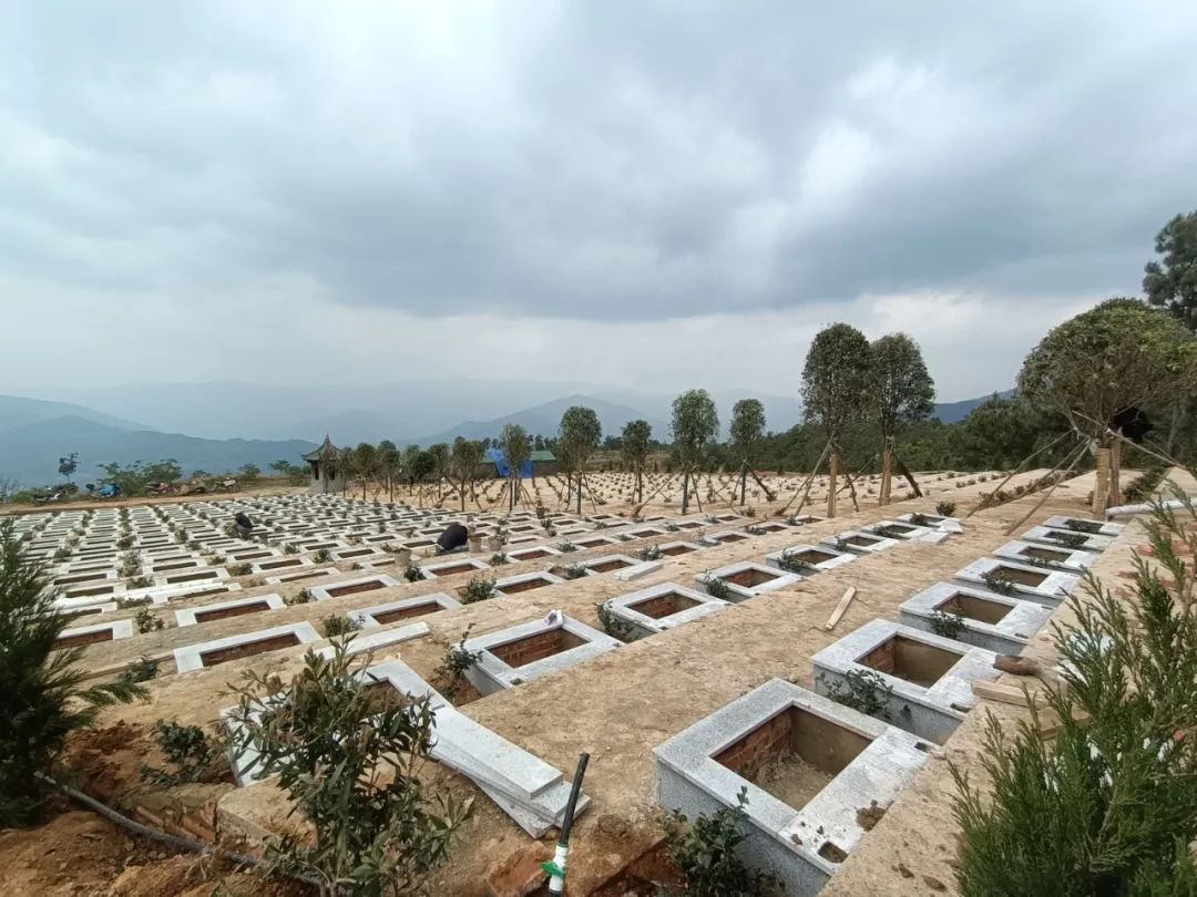 紫金乡多项措施推进乡村公益性公墓绿色生态葬