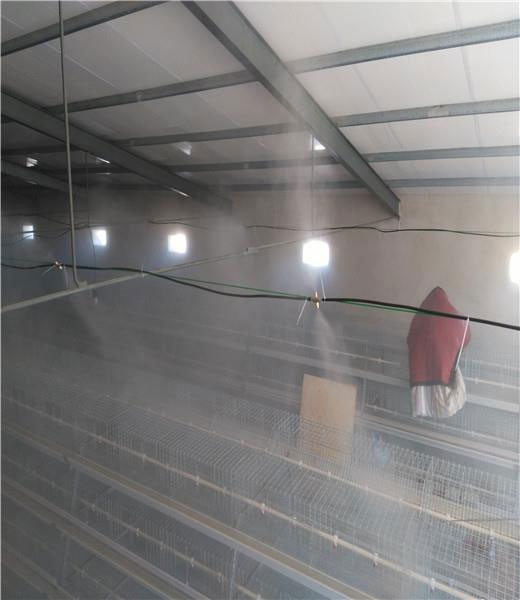 养鸡场喷雾消毒的作用