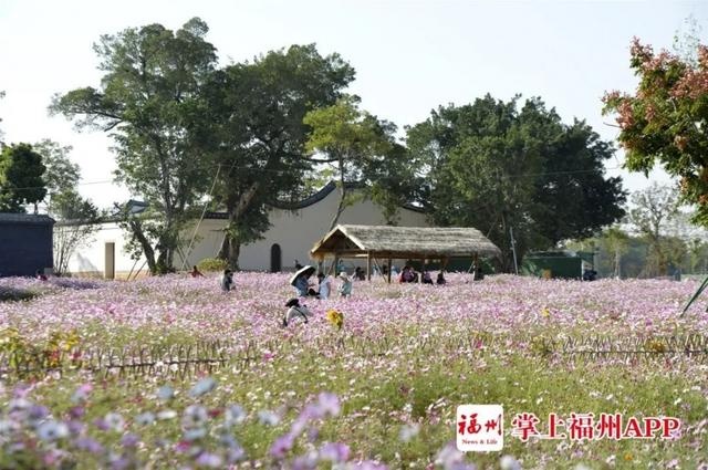 梁厝南片区4条新路贯通 织成三江口片区首片路网