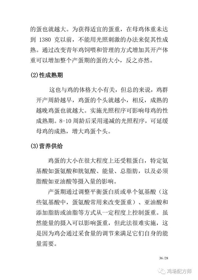 新杨黑蛋鸡饲养管理手册