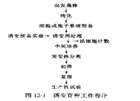 誘變育種的方法是什麼