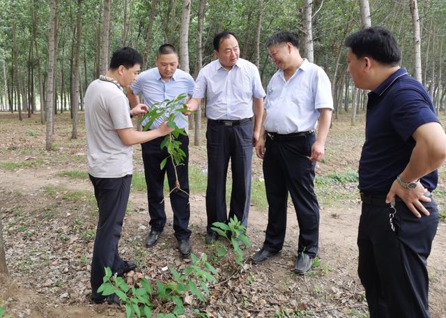 科技专家惠民行动暨订单式科普活动走进肥城湖屯镇