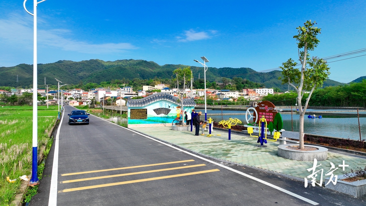 帮扶新力量|蕉岭蕉城镇:以农业产业园为载体,善做产业振兴"加法"