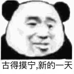 早安表情包:我的小豬豬醒了嗎?