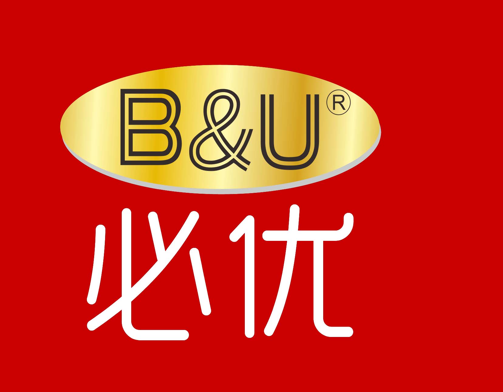 腻子膏和腻子粉哪个好?(必优腻子)