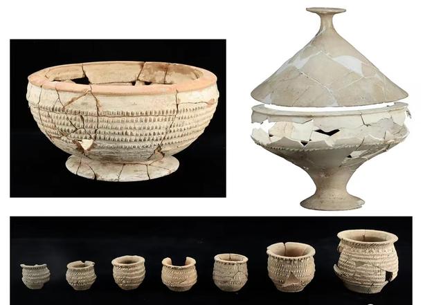 中国考古郑州论坛丨陈星灿点评十二项重大考古发现