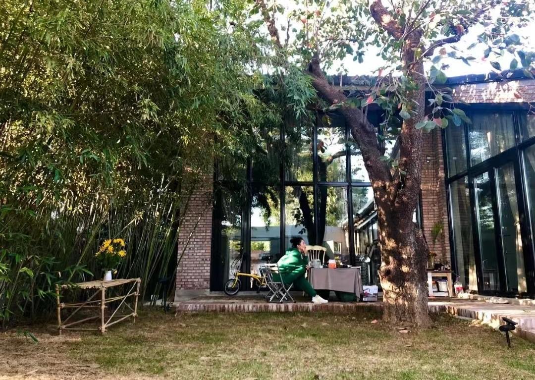 43岁殷桃住北京豪宅,喜欢养名贵花卉,网友:家如其人!