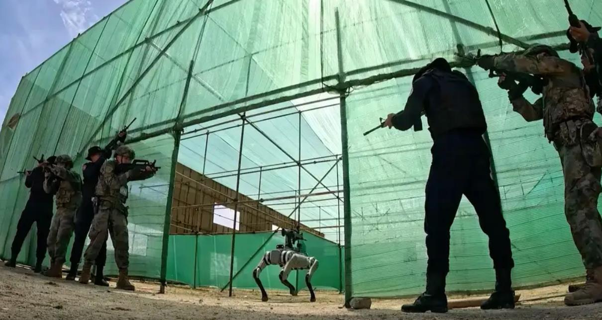 又火了!国产机器狗,背上了枪冲锋!