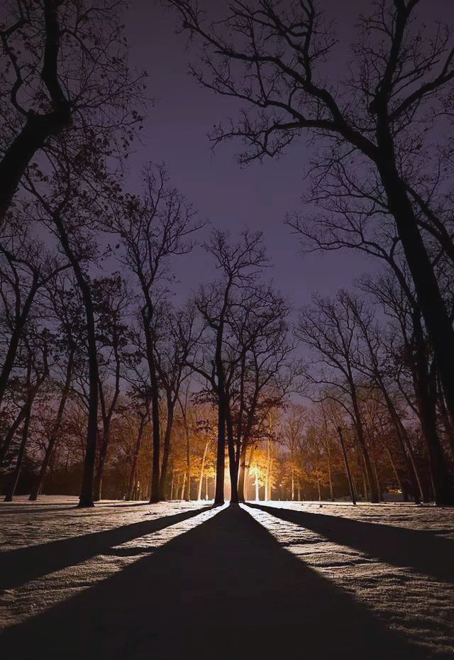 低角度摄影:探索不一样的世界视角