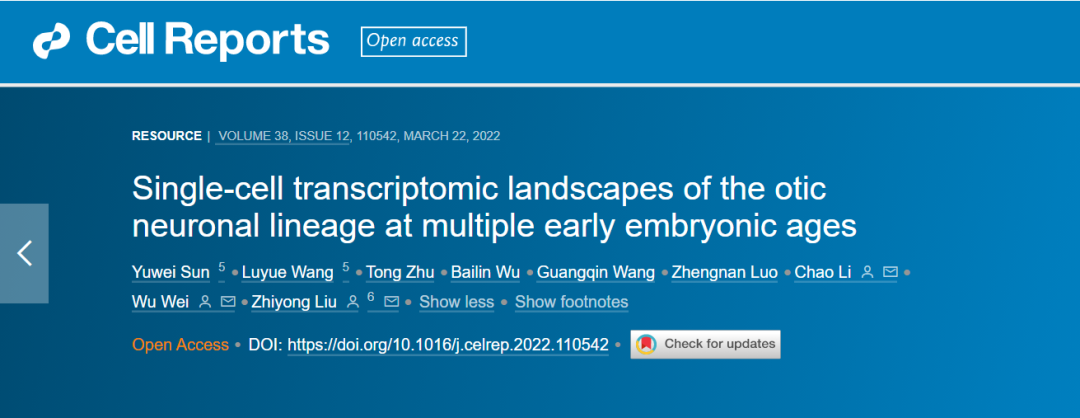 cell reports|小鼠胚胎早期內耳神經節單細胞轉錄組及其發育軌跡特徵