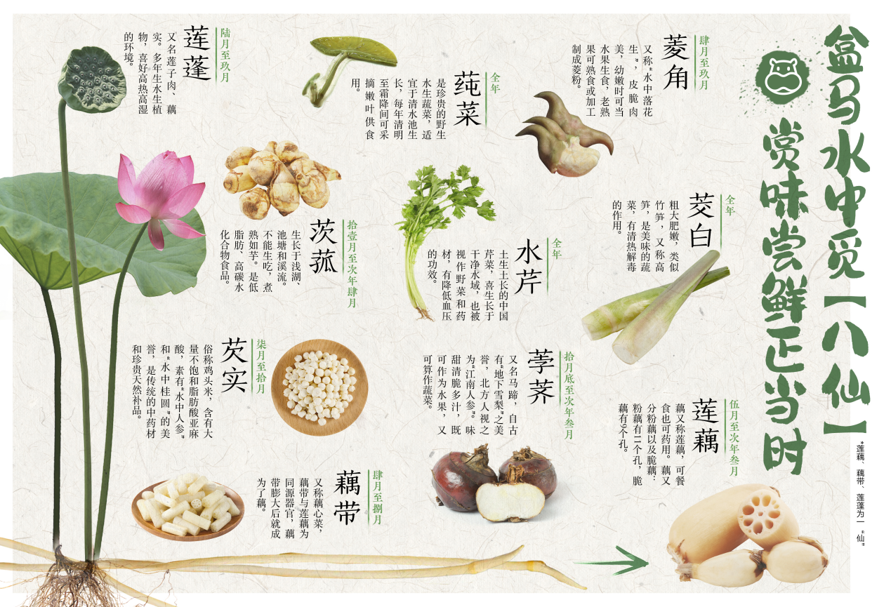 夏天一到,杭州人爱的"水八仙"来了!你吃过几样?