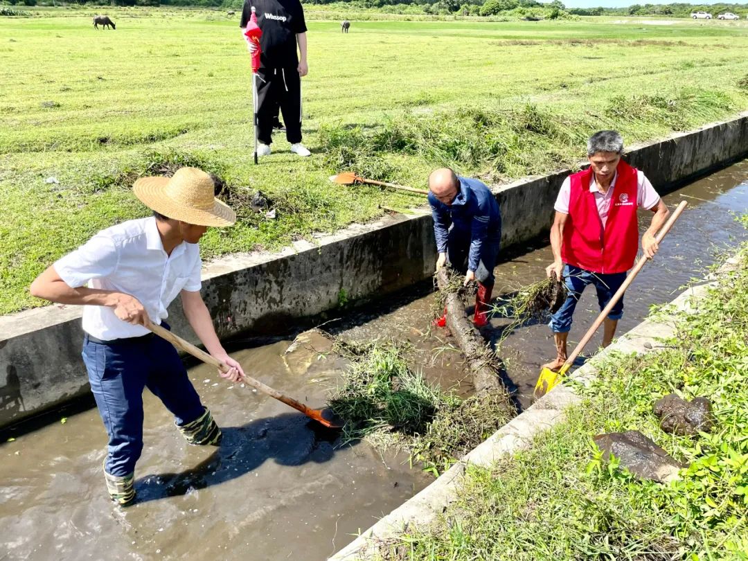 昌洒镇全力推进治水攻坚战