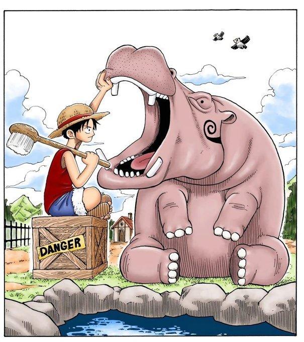 海贼王 路飞与动物的扉页故事