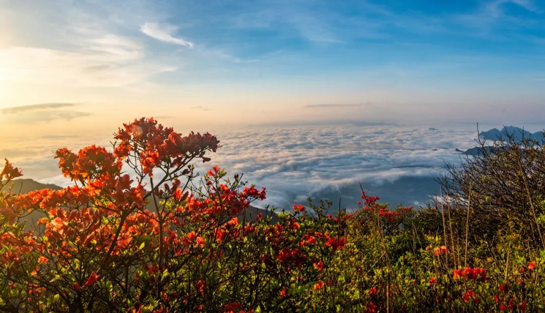 金饶山风景图片