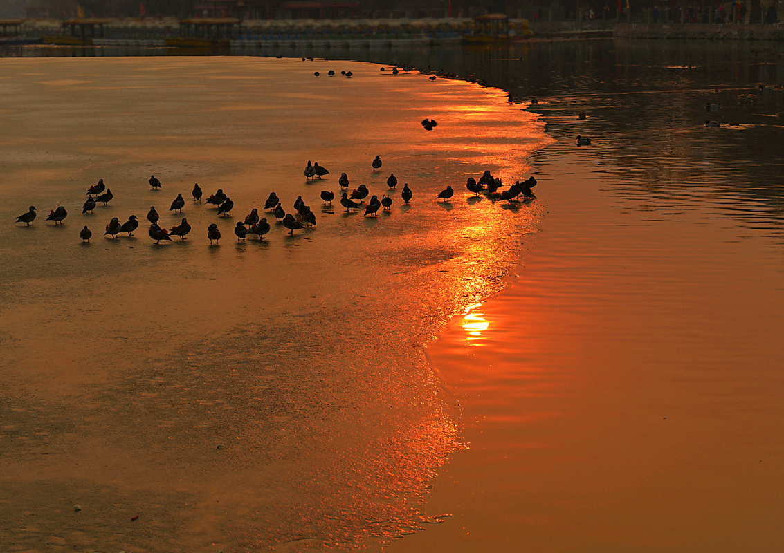 正月初五.北海太液池落日